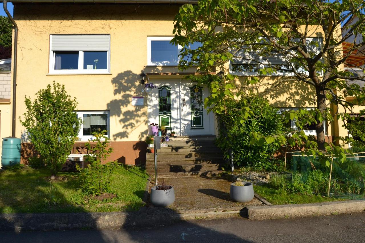 Cozy Apartment Dana Frickenhausen (Baden-Wurttemberg) Exterior foto