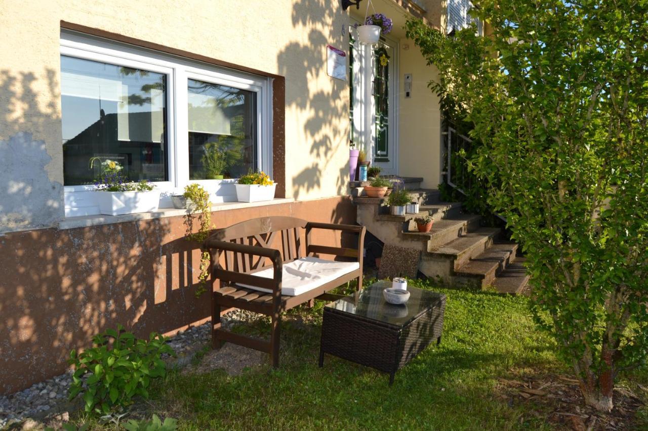 Cozy Apartment Dana Frickenhausen (Baden-Wurttemberg) Exterior foto